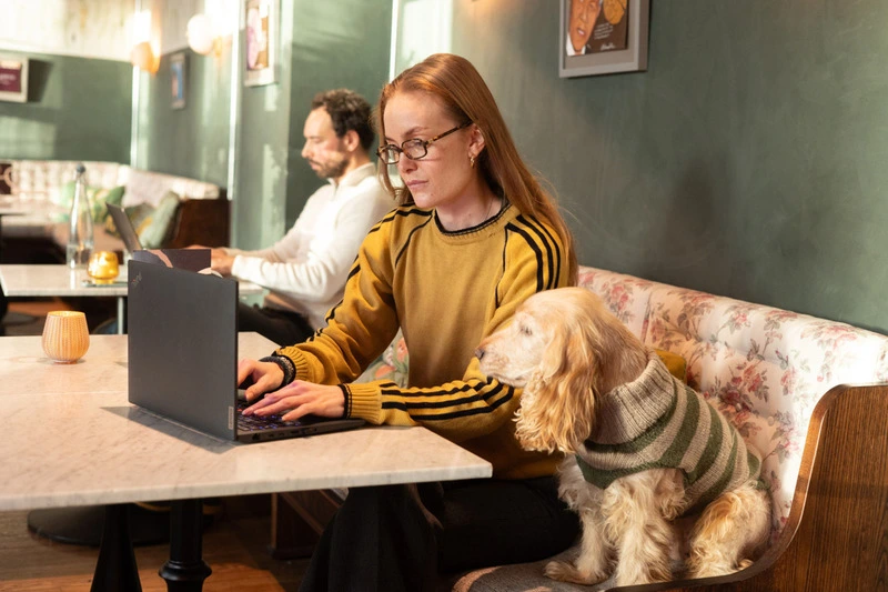 Dog-friendly coworking space at House21 Oslo